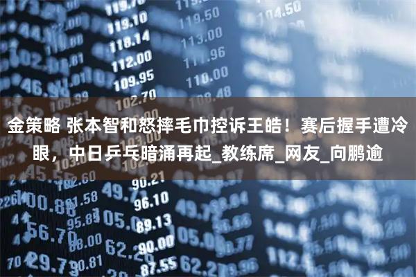 金策略 张本智和怒摔毛巾控诉王皓！赛后握手遭冷眼，中日乒乓暗涌再起_教练席_网友_向鹏逾