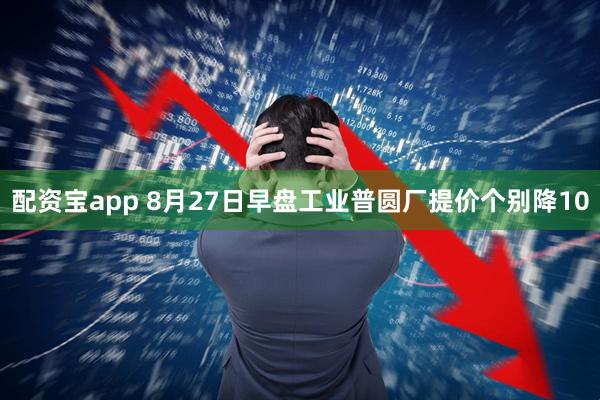 配资宝app 8月27日早盘工业普圆厂提价个别降10