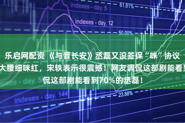 乐启网配资 《与晋长安》丞磊又没签保“咪”协议有效秀身材胸大腰细咪红，宋轶表示很震撼！网友调侃这部剧能看到70%的丞磊！